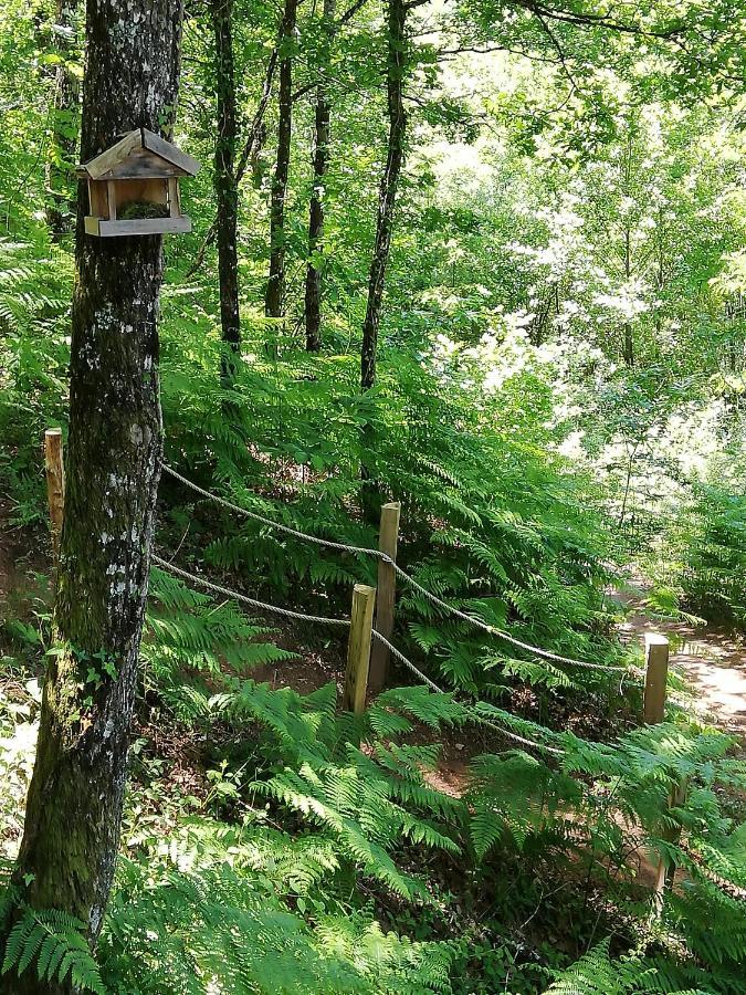 Ma Cabane En Aveyron Conques-en-Rouergue Kültér fotó